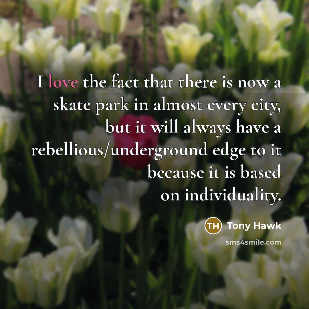 “I love the fact that there is now a skate…” quote by Tony Hawk