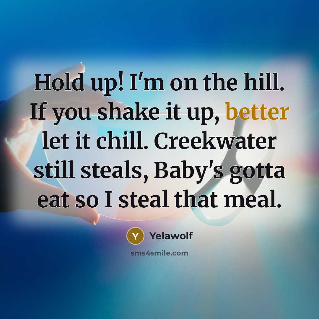 “Hold up! I'm on the hill. If you shake it up, better let it chill. Creekwater still steals, Baby's gotta eat so I steal that meal.” quote by Yelawolf