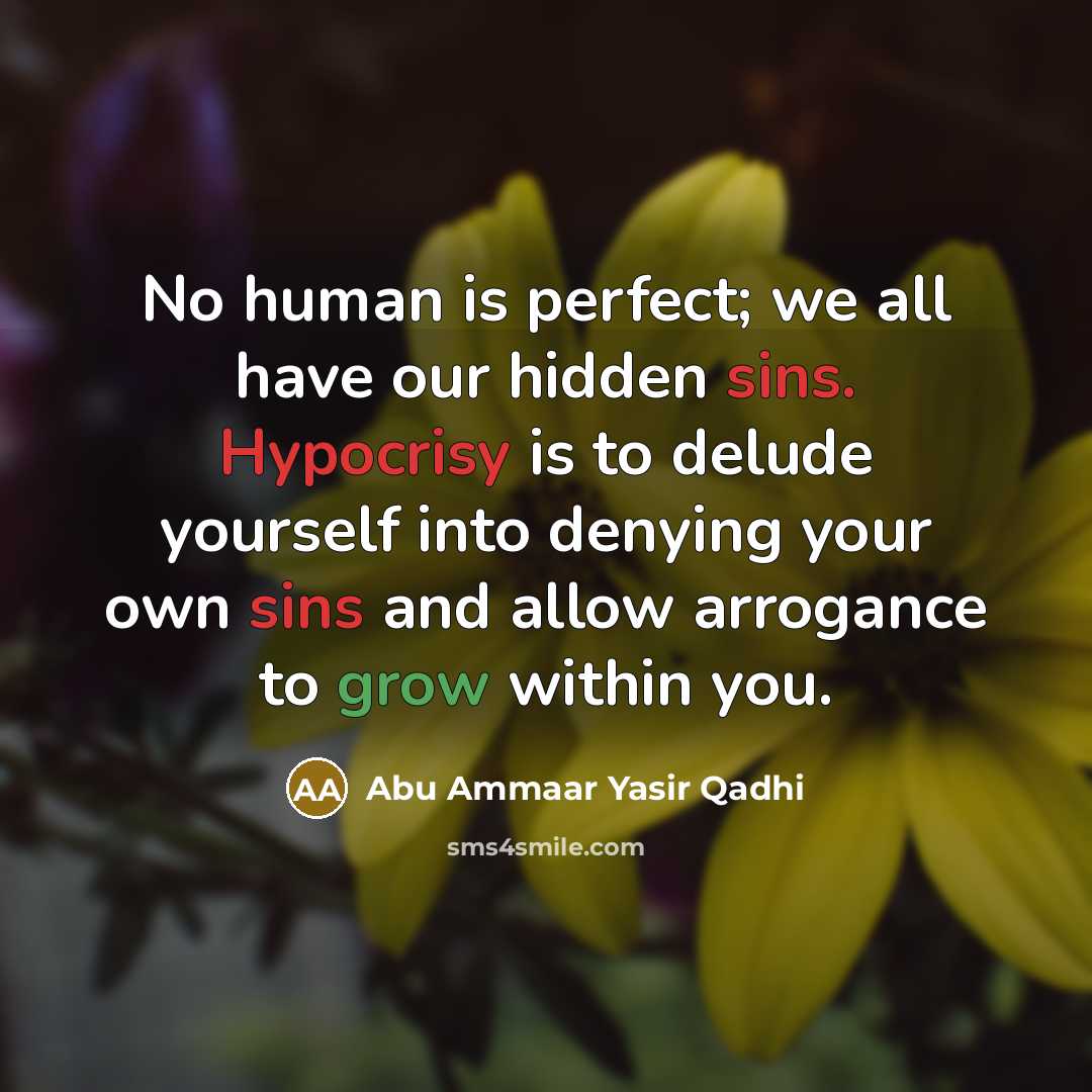 “No human is perfect; we all have our hidden sins.…” quote by Abu Ammaar Yasir Qadhi