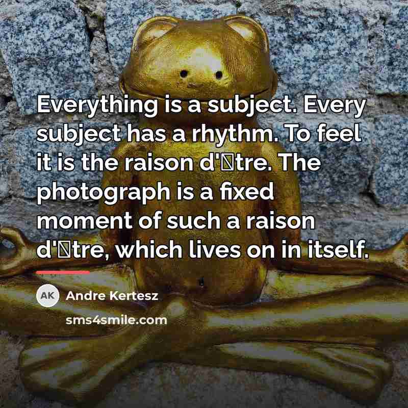“Everything is a subject. Every subject has a rhythm. To…” quote by Andre Kertesz