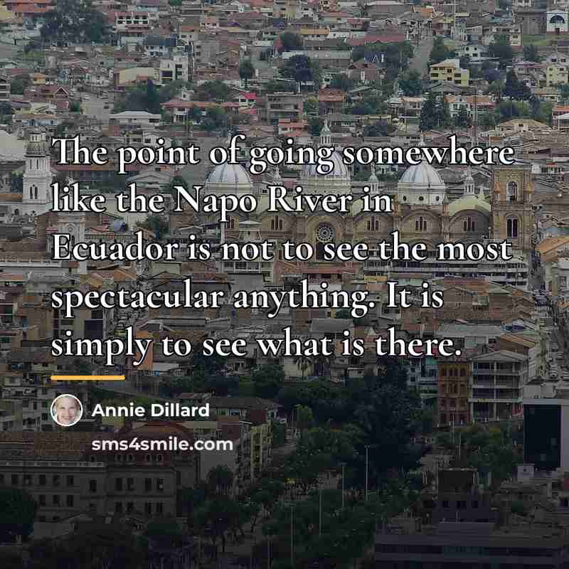 “The point of going somewhere like the Napo River in…” quote by Annie Dillard