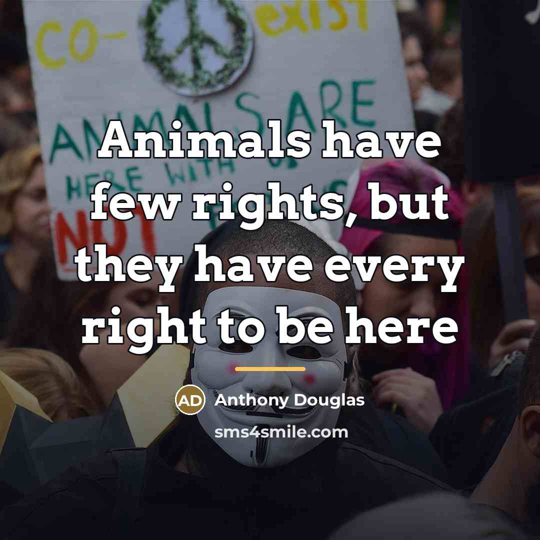 “Animals have few rights, but they have every right to…” quote by Anthony Douglas