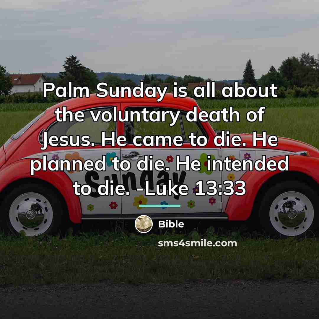 “Palm Sunday is all about the voluntary death of Jesus.…” quote by Bible