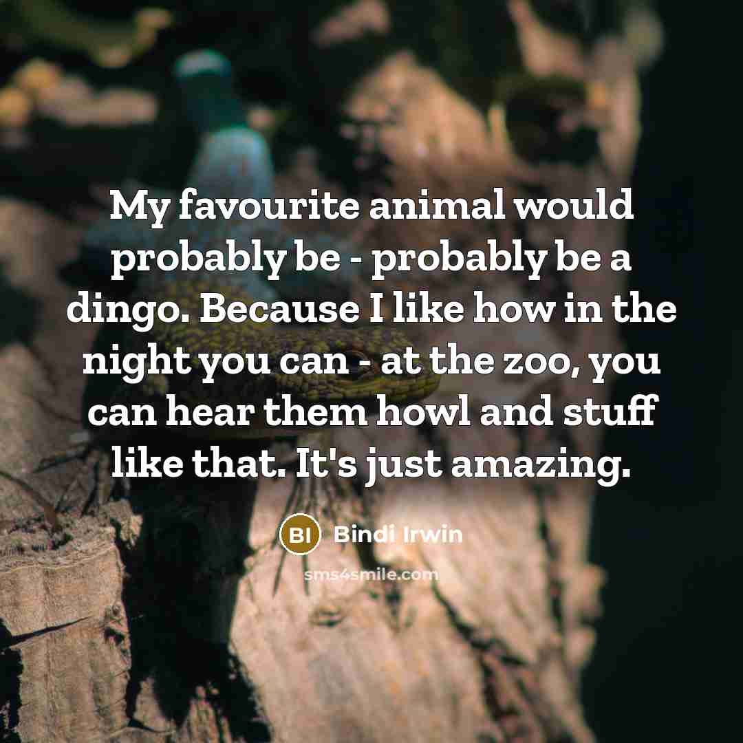 “My favourite animal would probably be - probably be a…” quote by Bindi Irwin
