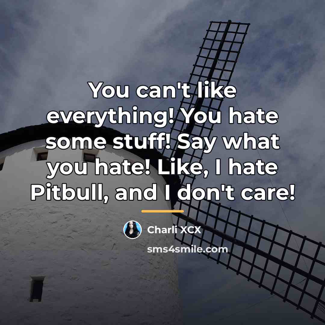 “You can't like everything! You hate some stuff! Say what…” quote by Charli XCX