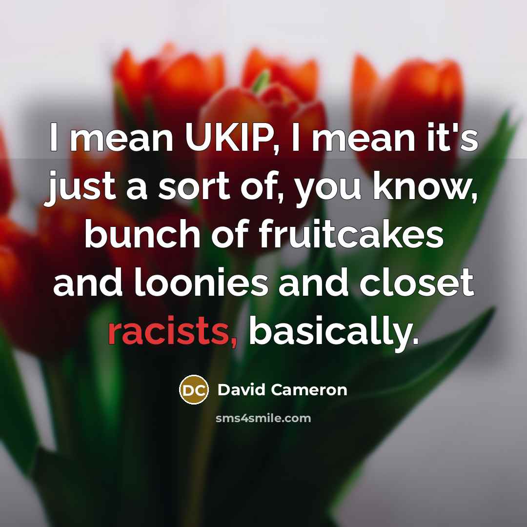 “I mean UKIP, I mean it's just a sort of,…” quote by David Cameron