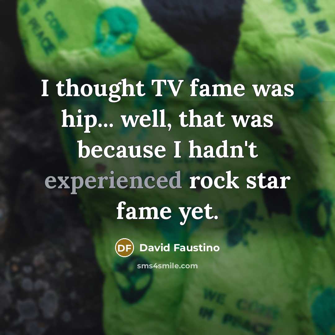 “I thought TV fame was hip... well, that was because…” quote by David Faustino
