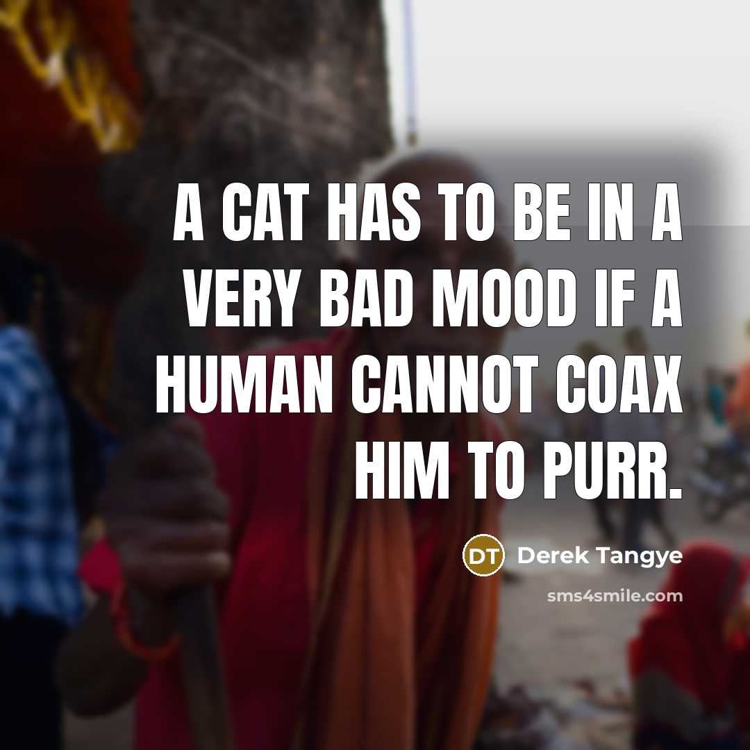 “A cat has to be in a very bad mood…” quote by Derek Tangye