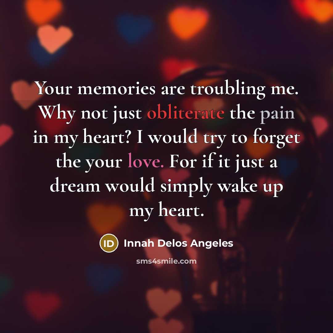 “Your memories are troubling me. Why not just obliterate the pain in my heart? I would try to forget the your love. For if it just a dream would simply wake up my heart.” quote by Innah Delos Angeles