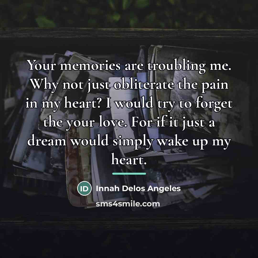 “Your memories are troubling me. Why not just obliterate the…” quote by Innah Delos Angeles