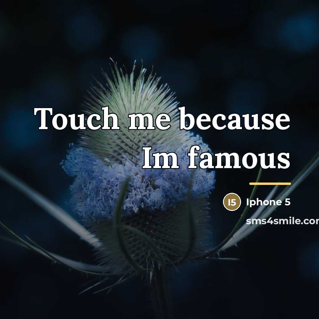 “Touch me because Im famous…” quote by Iphone 5