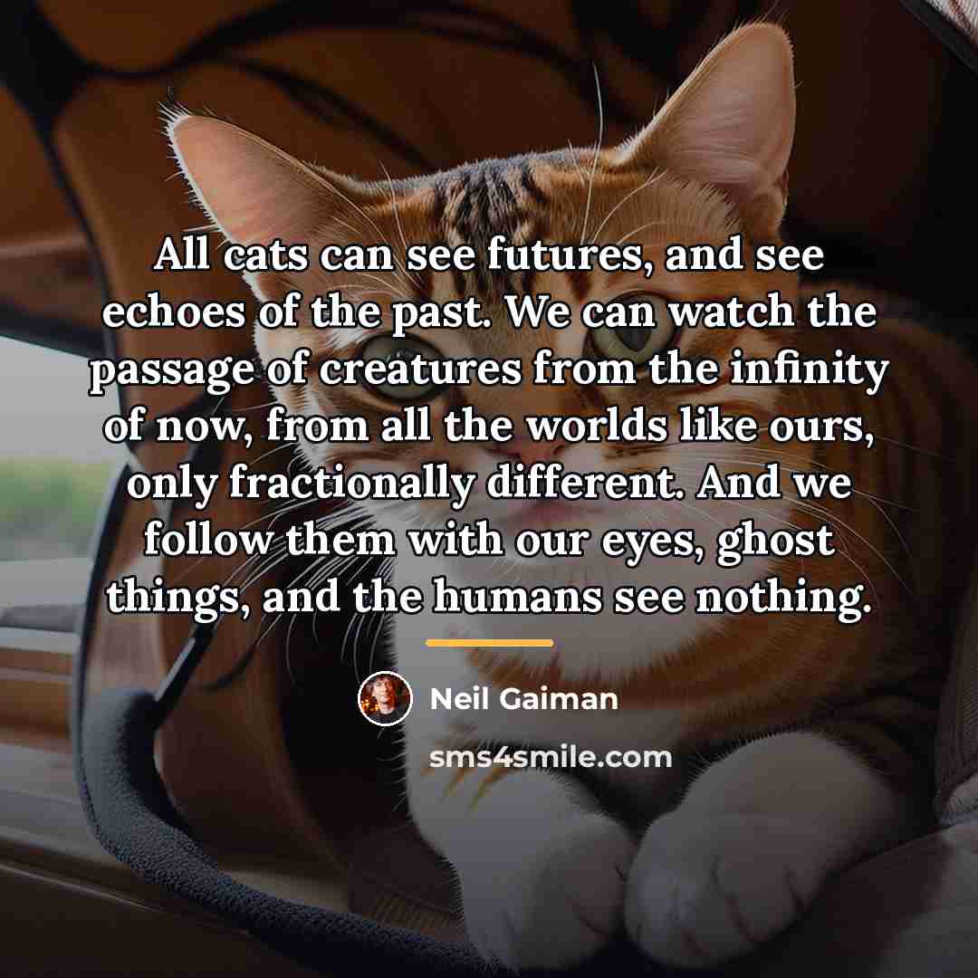 “All cats can see futures, and see echoes of the…” quote by Neil Gaiman