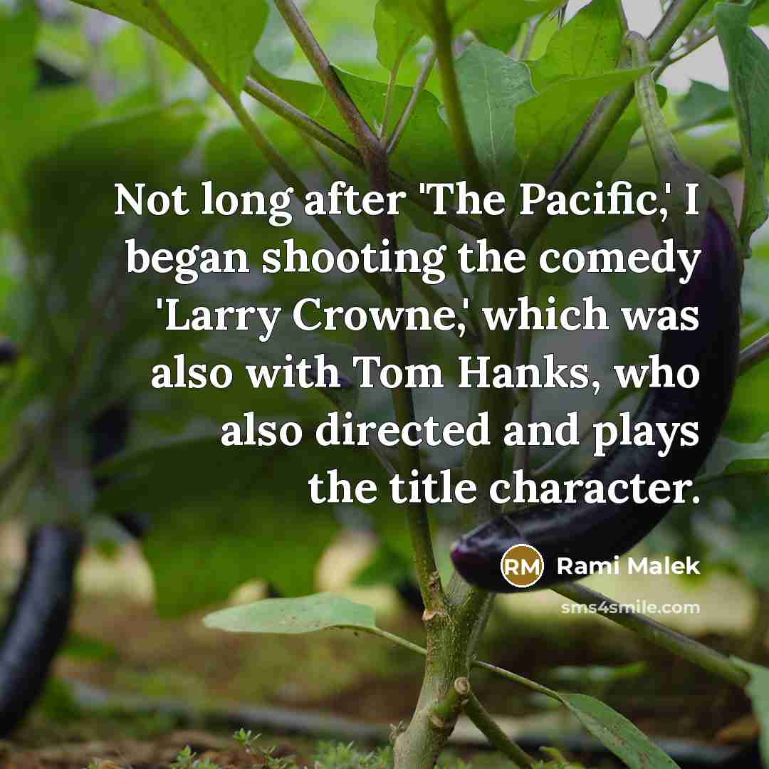 “Not long after 'The Pacific,' I began shooting the comedy…” quote by Rami Malek
