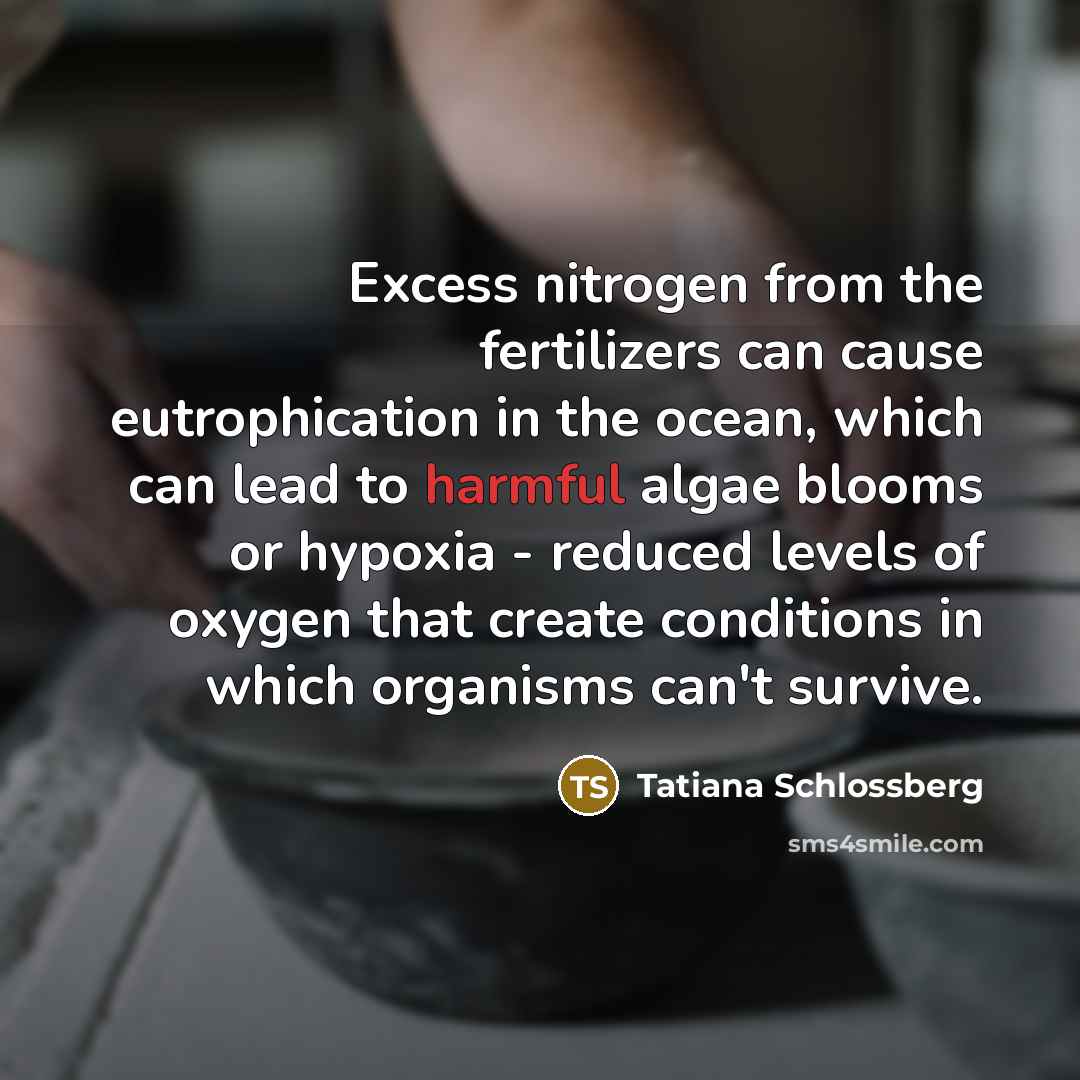 “Excess nitrogen from the fertilizers can cause eutrophication in the…” quote by Tatiana Schlossberg