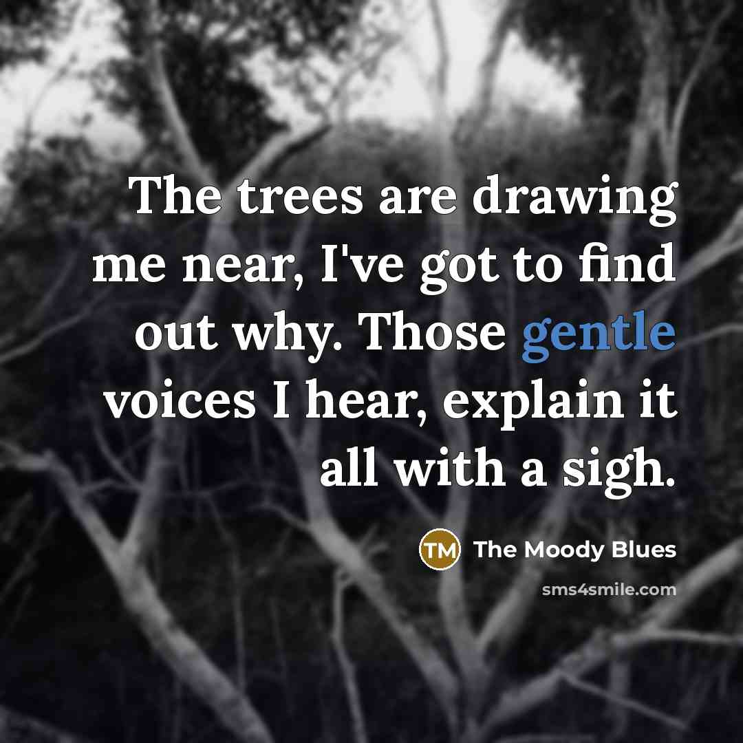 “The trees are drawing me near, I've got to find out why. Those gentle voices I hear, explain it all with a sigh.” quote by The Moody Blues