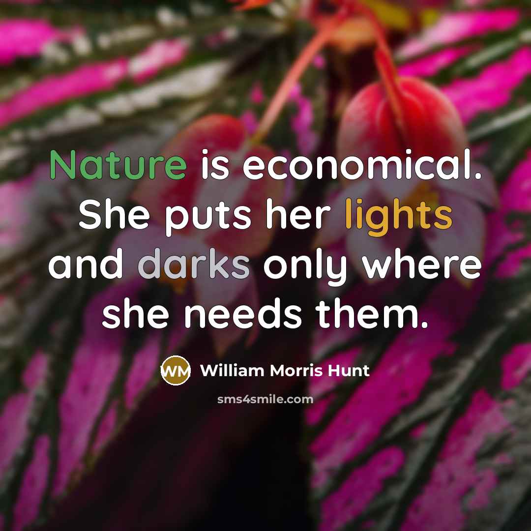 “Nature is economical. She puts her lights and darks only where she needs them.” quote by William Morris Hunt