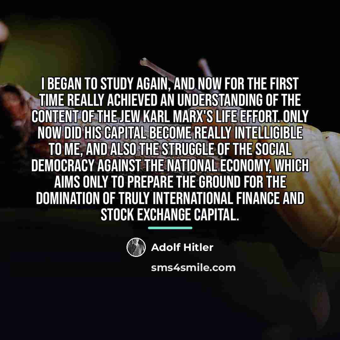 “I began to study again, and now for the first…” quote by Adolf Hitler