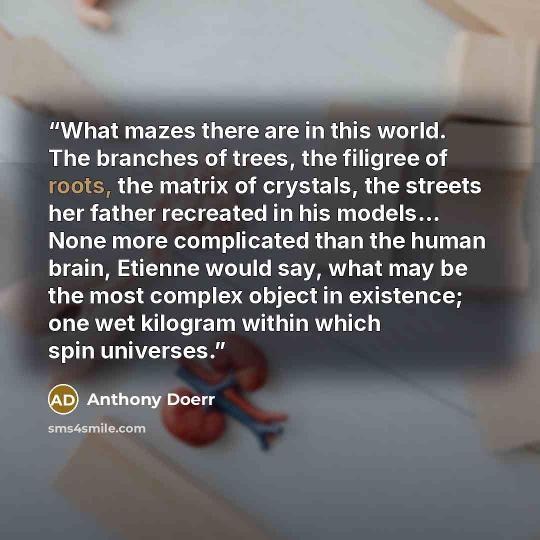 “What mazes there are in this world. The branches of trees, the filigree of roots, the matrix of crystals, the streets her father recreated in his models... None more complicated than the human brain, Etienne would say, what may be the most complex object in existence; one wet kilogram within which…” quote by Anthony Doerr