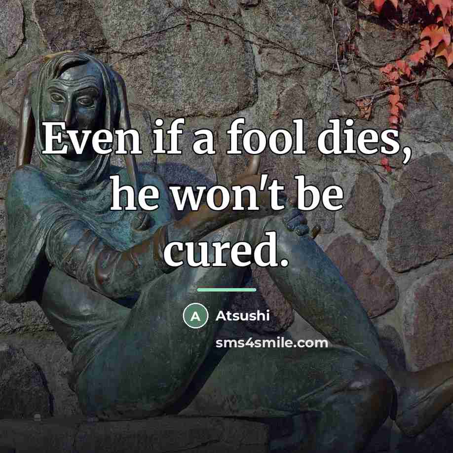 “Even if a fool dies, he won't be cured.…” quote by Atsushi
