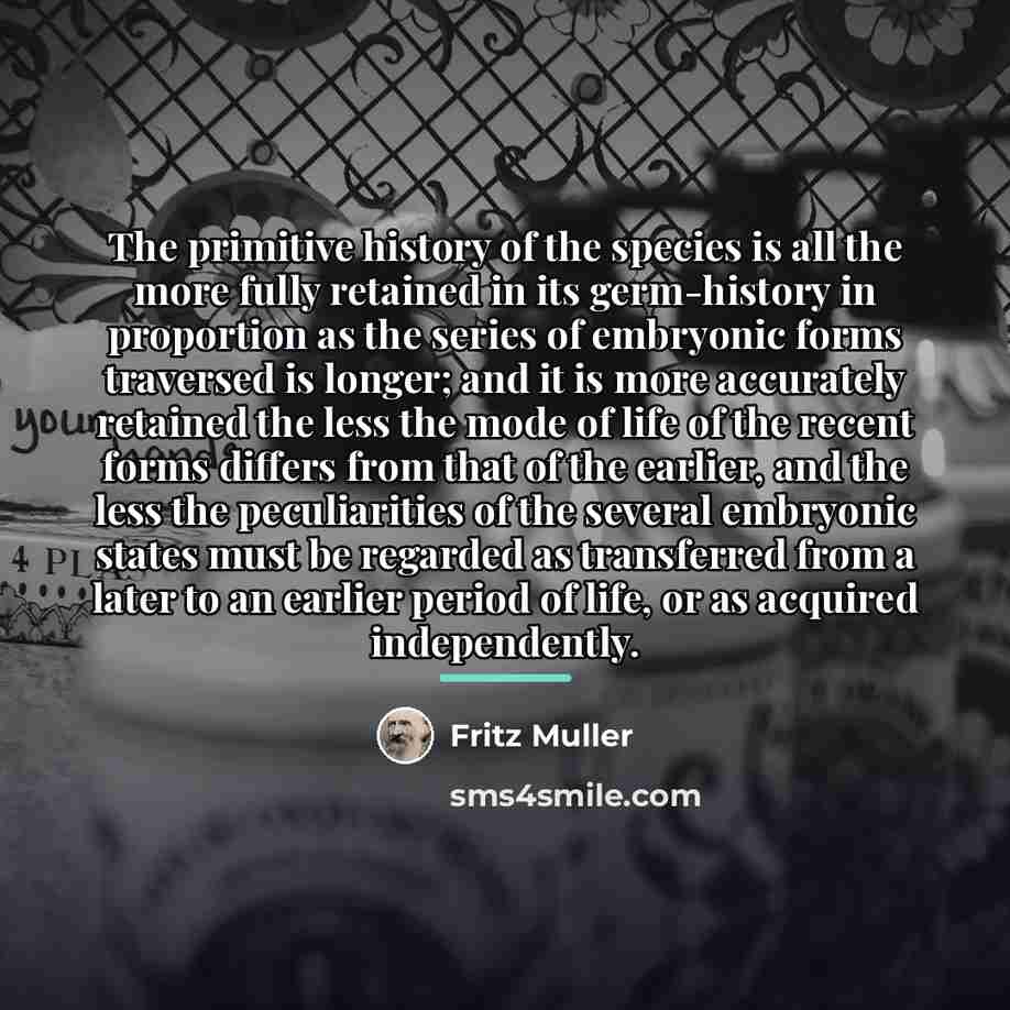 “The primitive history of the species is all the more…” quote by Fritz Muller