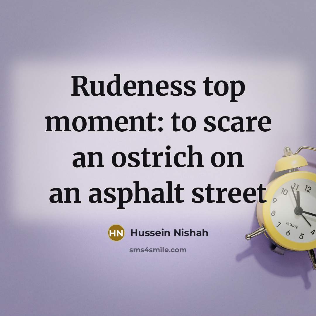 “Rudeness top moment: to scare an ostrich on an asphalt…” quote by Hussein Nishah