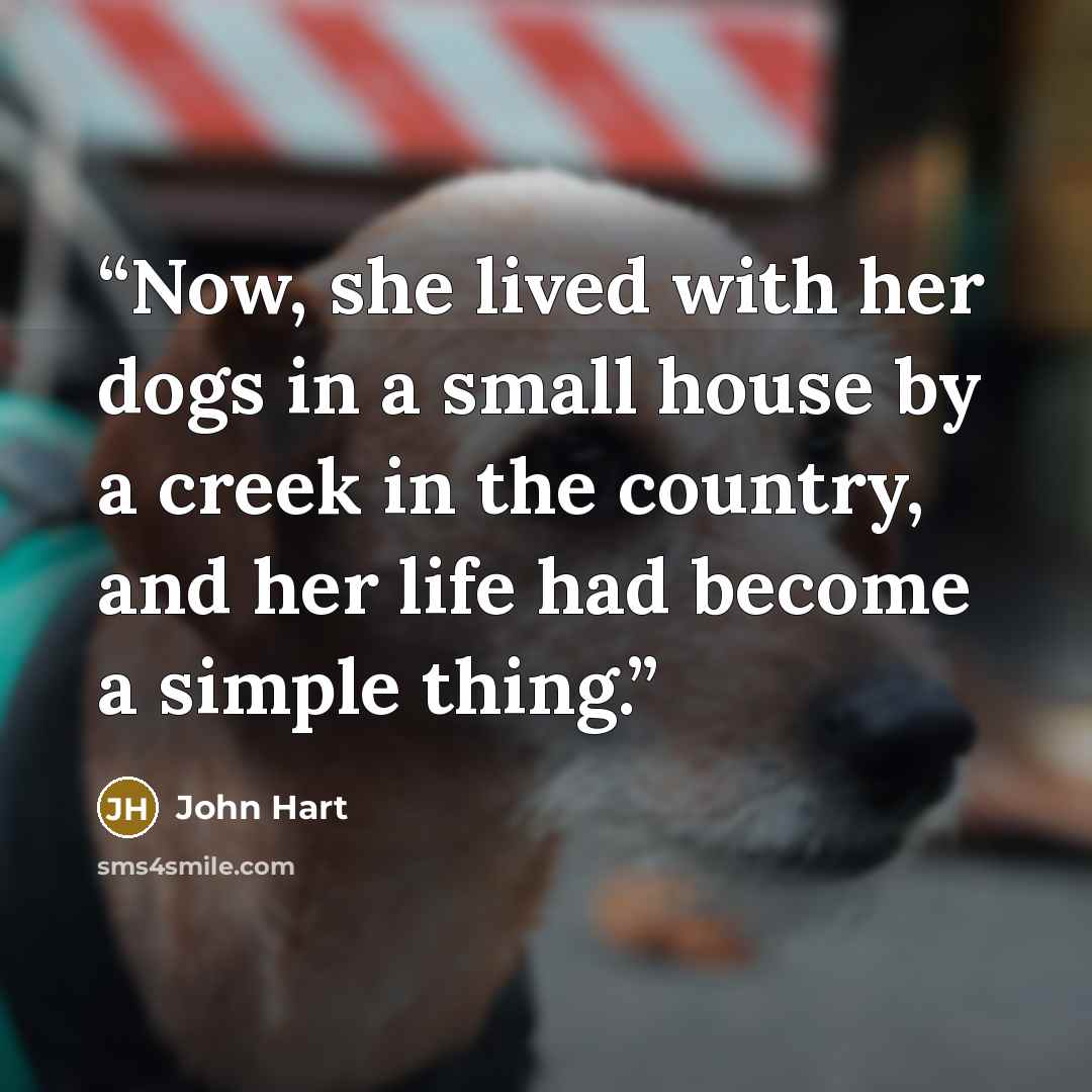 “Now, she lived with her dogs in a small house by a creek in the country, and her life had become a simple thing.” quote by John Hart