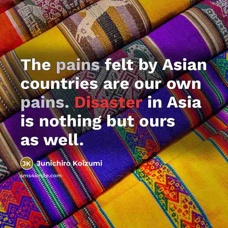 “The pains felt by Asian countries are our own pains.…” quote by Junichiro Koizumi