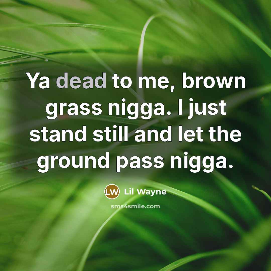 “Ya dead to me, brown grass nigga. I just stand…” quote by Lil Wayne