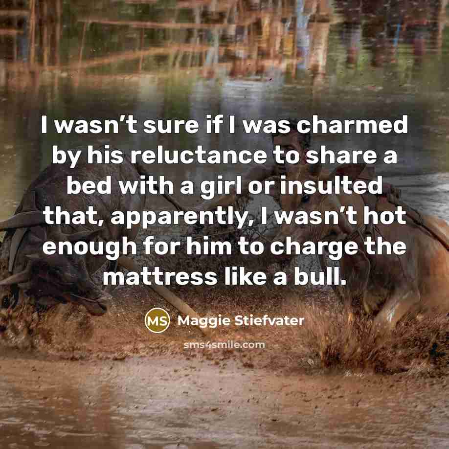 “I wasn’t sure if I was charmed by his reluctance…” quote by Maggie Stiefvater