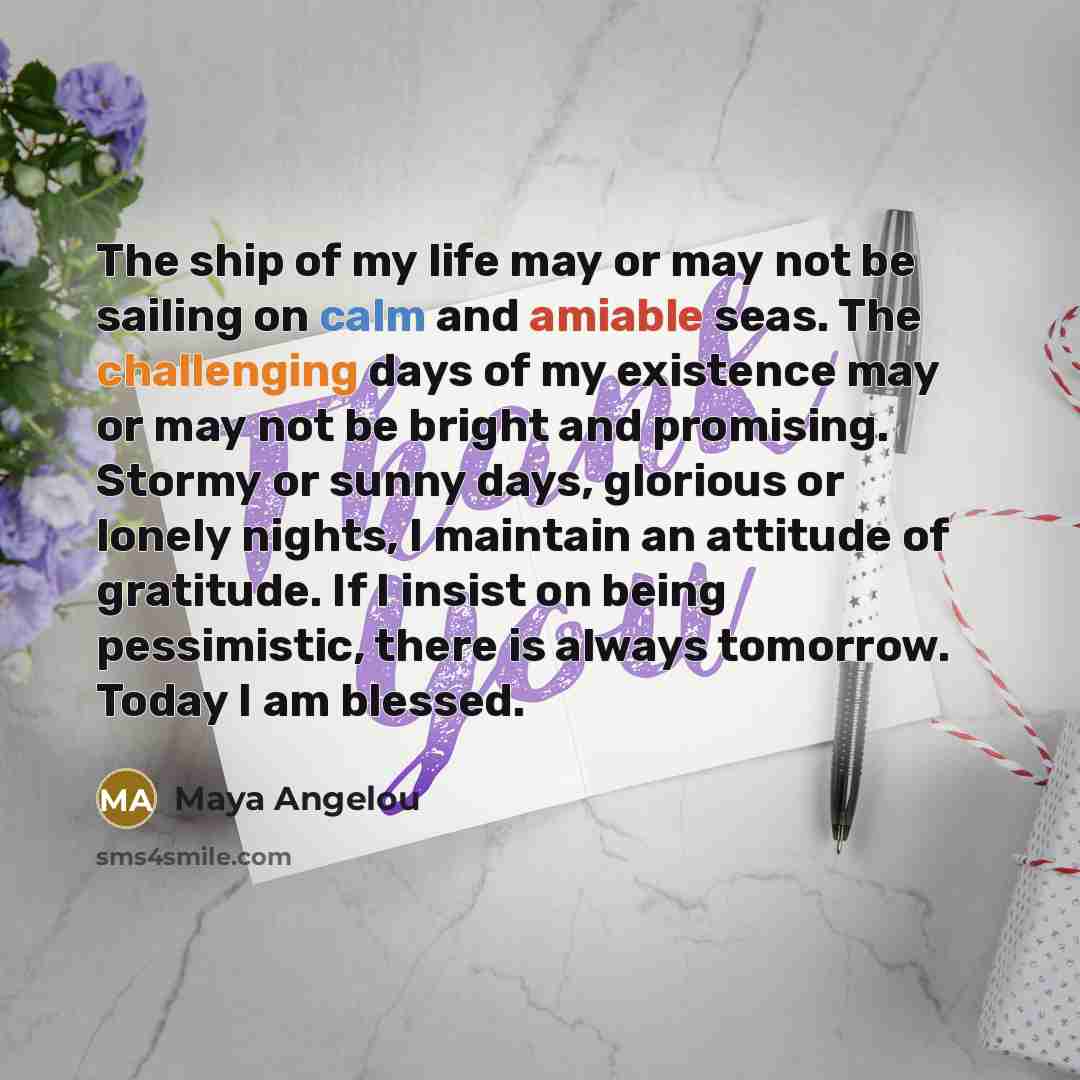 “The ship of my life may or may not be…” quote by Maya Angelou