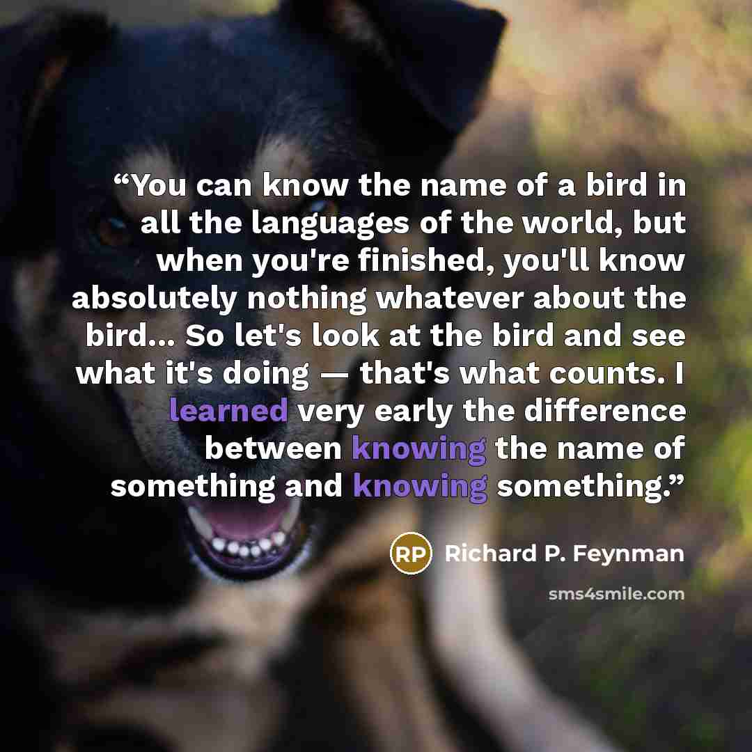 “You can know the name of a bird in all the languages of the world, but when you're finished, you'll know absolutely nothing whatever about the bird... So let's look at the bird and see what it's doing — that's what counts. I learned very early the difference between knowing the name of something…” quote by Richard P. Feynman