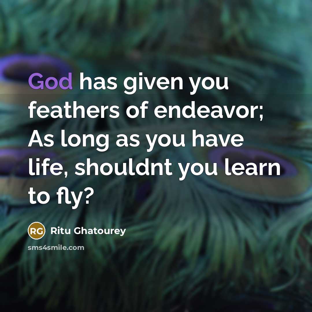 “God has given you feathers of endeavor; As long as…” quote by Ritu Ghatourey