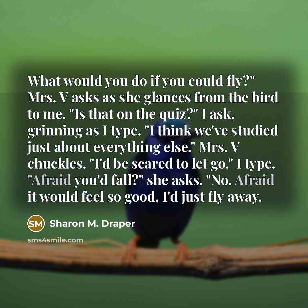“What would you do if you could fly?" Mrs. V…” quote by Sharon M. Draper