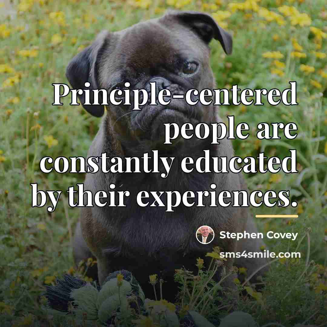 “Principle-centered people are constantly educated by their experiences.…” quote by Stephen Covey