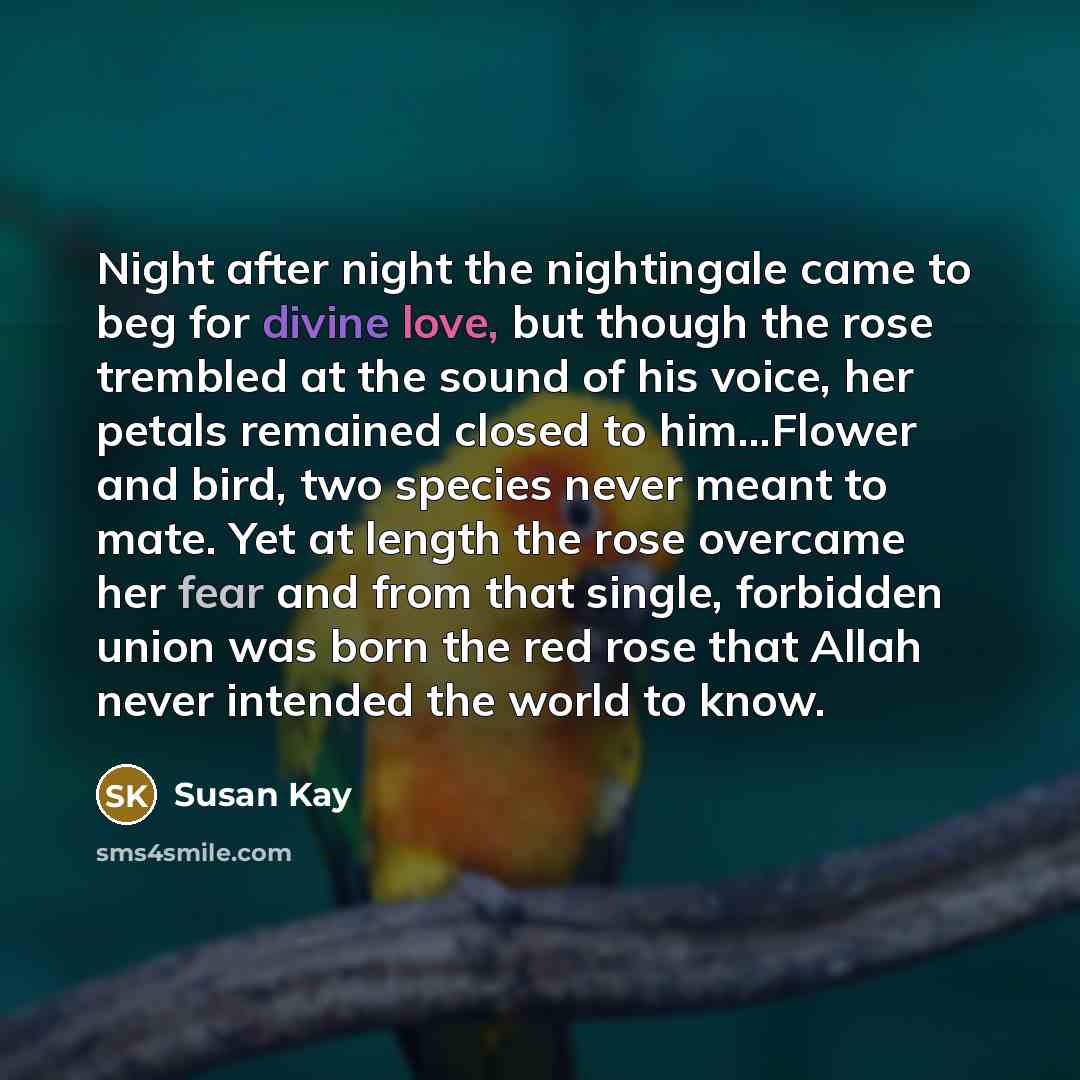 “Night after night the nightingale came to beg for divine…” quote by Susan Kay