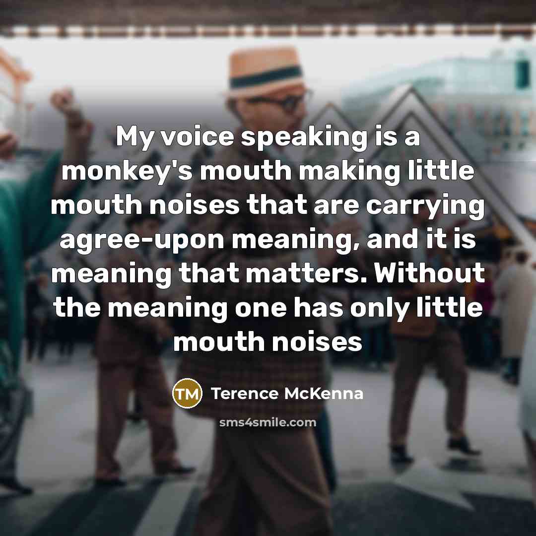 “My voice speaking is a monkey's mouth making little mouth…” quote by Terence McKenna