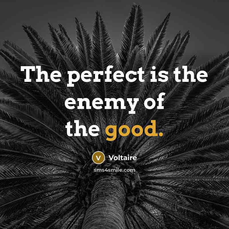 “The perfect is the enemy of the good.…” quote by Voltaire