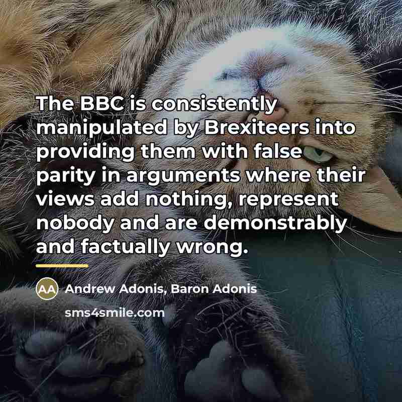 “The BBC is consistently manipulated by Brexiteers into providing them…” quote by Andrew Adonis, Baron Adonis