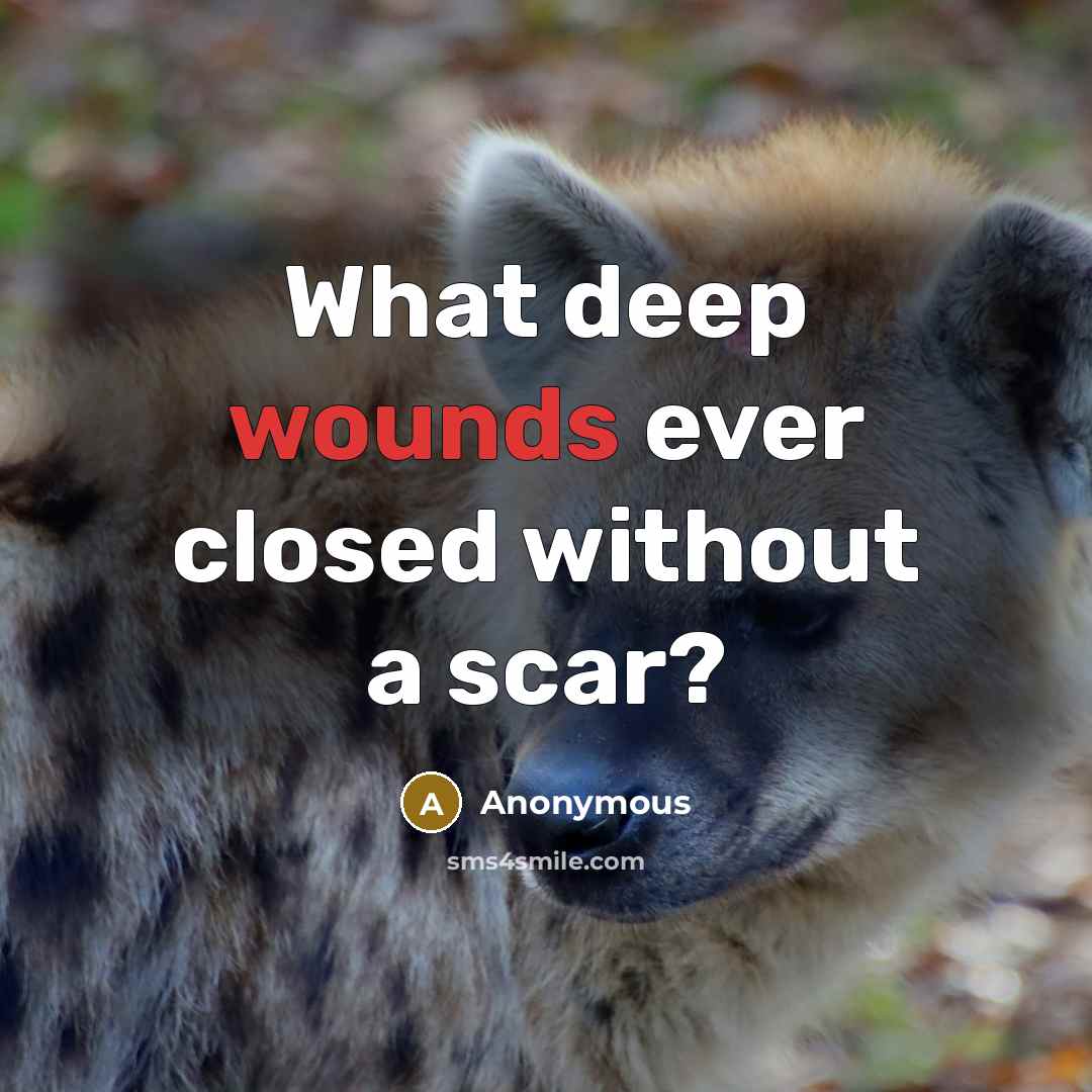 “What deep wounds ever closed without a scar?” quote by Anonymous