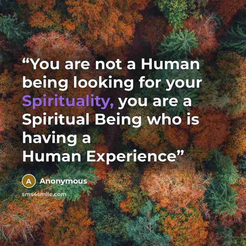 “You are not a Human being looking for your Spirituality, you are a Spiritual Being who is having a Human Experience” quote by Anonymous