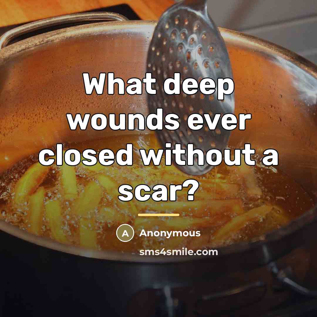 “What deep wounds ever closed without a scar?…” quote by Anonymous