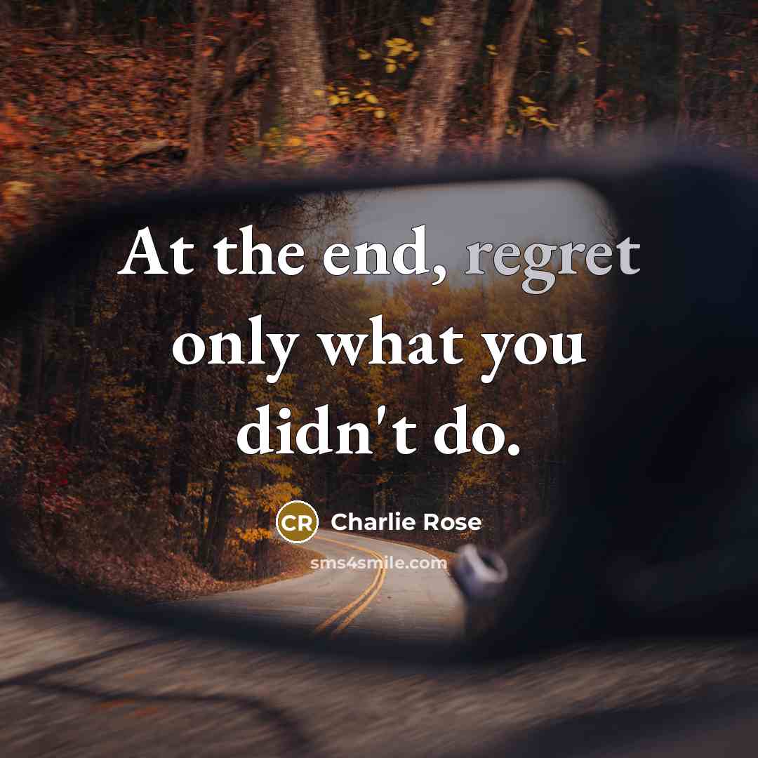 “At the end, regret only what you didn't do.…” quote by Charlie Rose