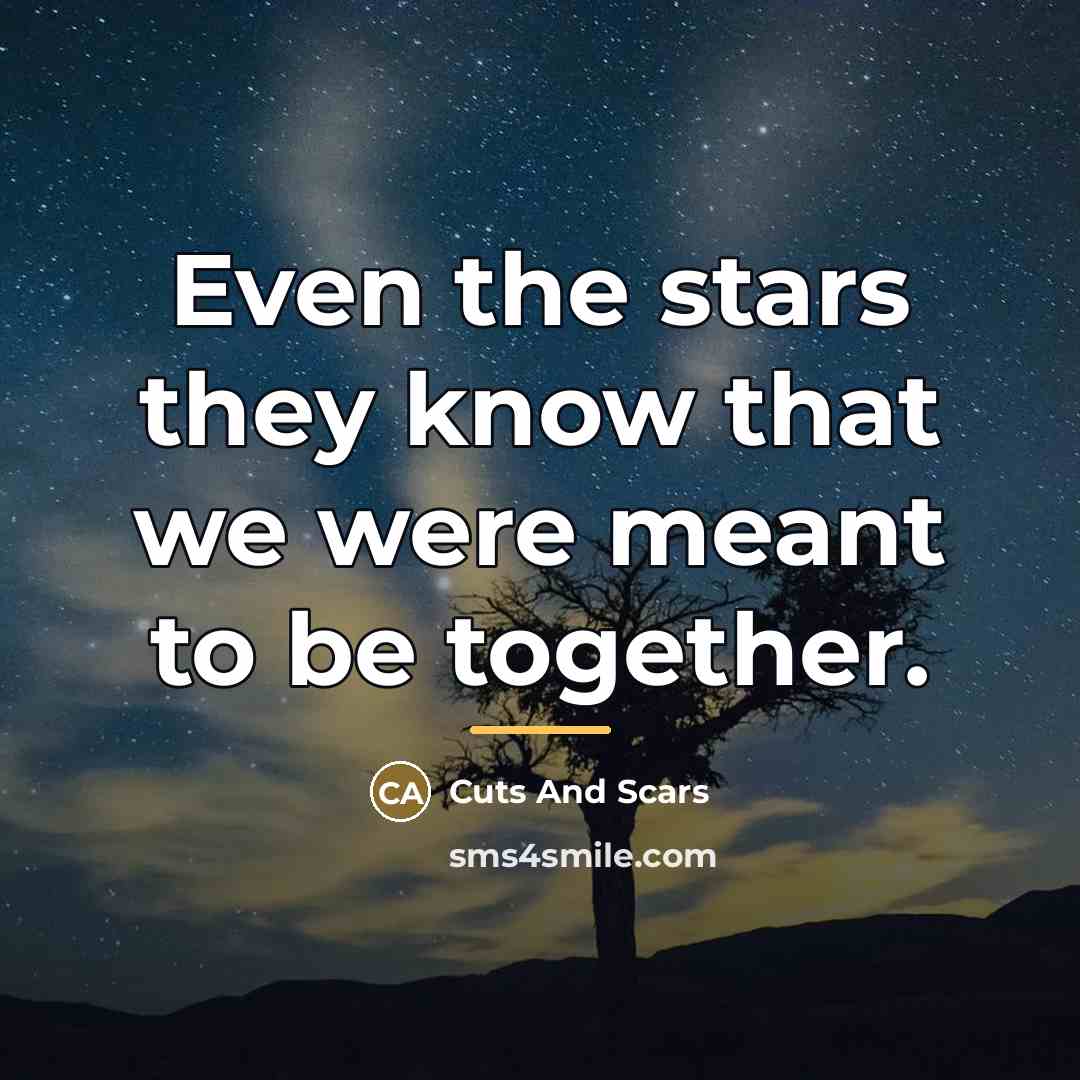 “Even the stars they know that we were meant to…” quote by Cuts And Scars