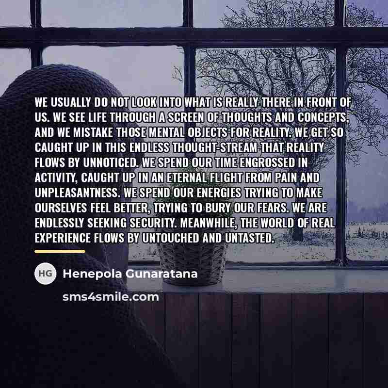 “We usually do not look into what is really there…” quote by Henepola Gunaratana