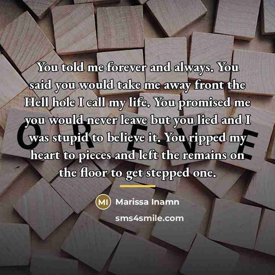 “You told me forever and always. You said you would…” quote by Marissa Inamn