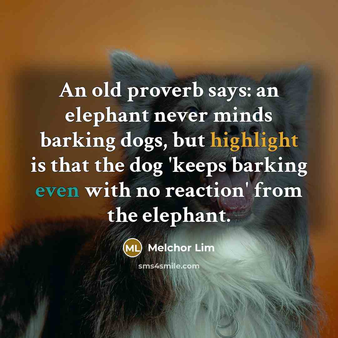 “An old proverb says: an elephant never minds barking dogs, but highlight is that the dog 'keeps barking even with no reaction' from the elephant.” quote by Melchor Lim