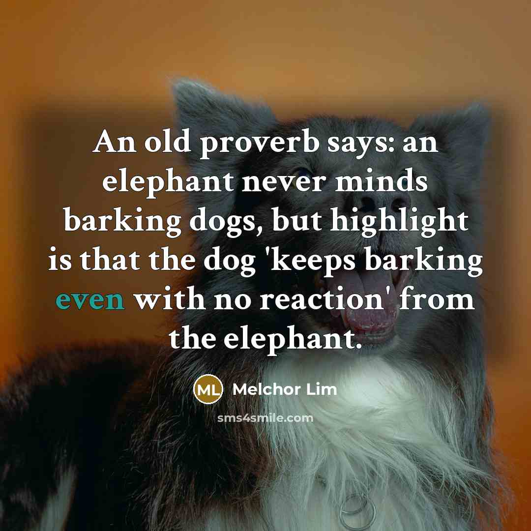 “An old proverb says: an elephant never minds barking dogs, but highlight is that the dog 'keeps barking even with no reaction' from the elephant.” quote by Melchor Lim