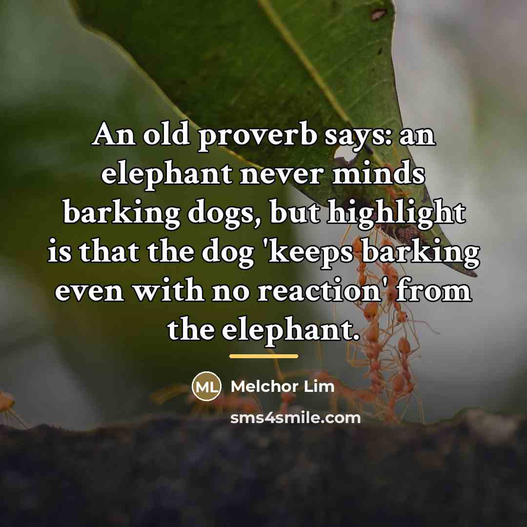 “An old proverb says: an elephant never minds barking dogs,…” quote by Melchor Lim