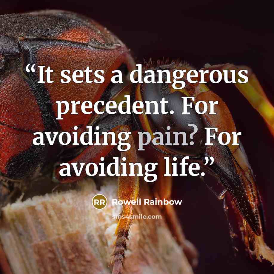 “It sets a dangerous precedent. For avoiding pain? For avoiding life.” quote by Rowell Rainbow