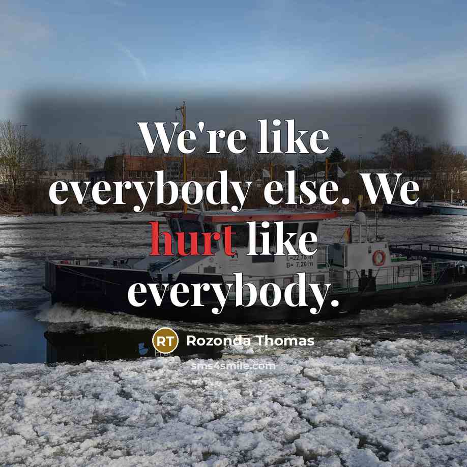 “We're like everybody else. We hurt like everybody.…” quote by Rozonda Thomas